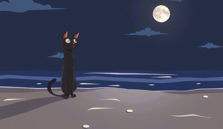 Big black cat alone on a beach at night illustration 33440562892
